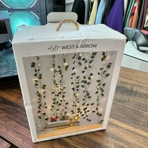 Unopened Vine Lights